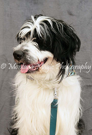 Tucker_0444