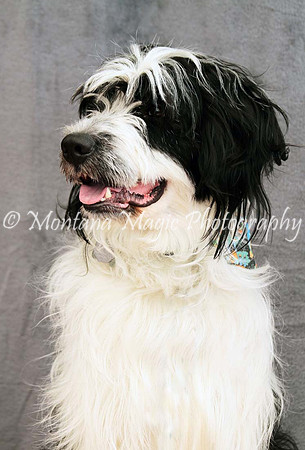 Tucker_0433