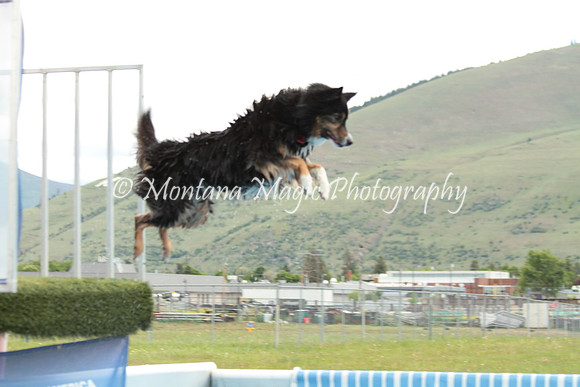 Daisy_5162