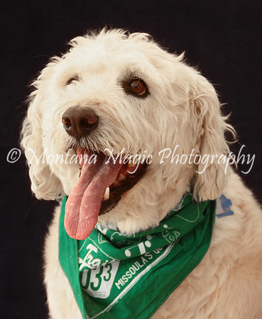 Baxter_9574