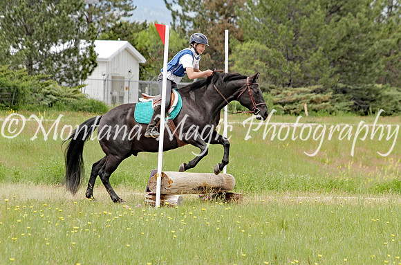 Air Horse One_7716