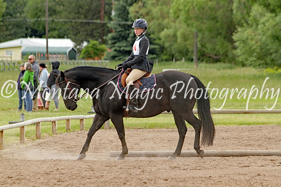 Air Horse One_7457