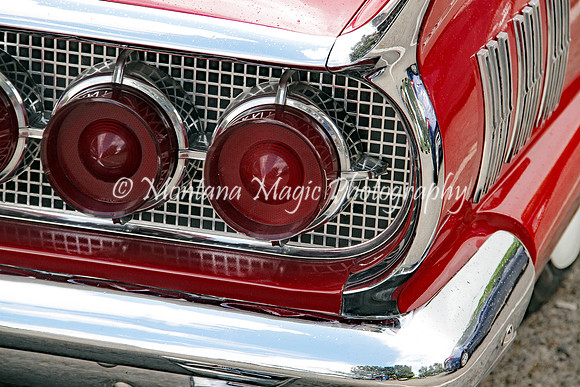 PTA119 T-Bird