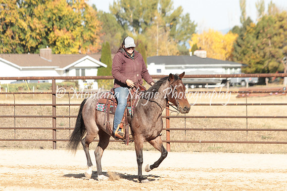 Bay Mare_2040