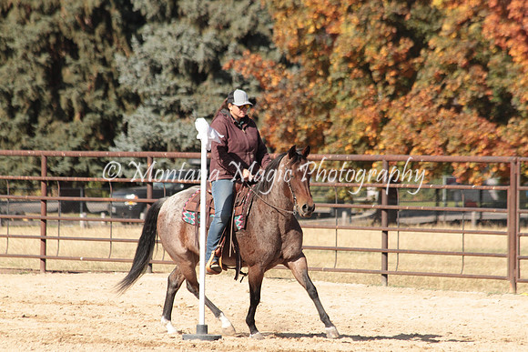 Bay Mare_2681