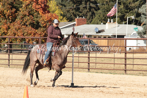 Bay Mare_2684