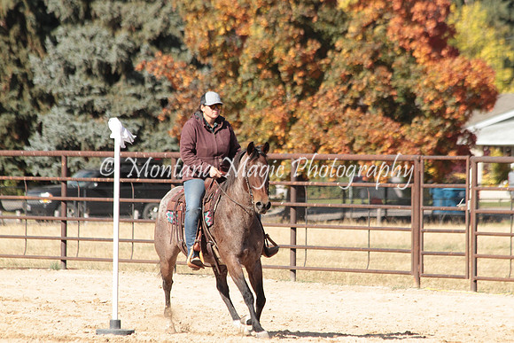 Bay Mare_2682