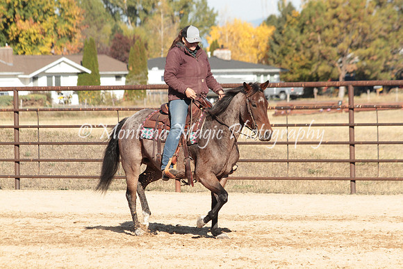 Bay Mare_2041