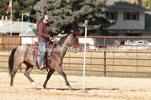 Bay Mare_2685