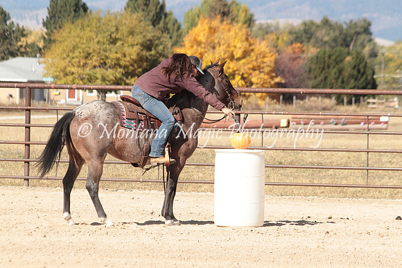Bay Mare_3028