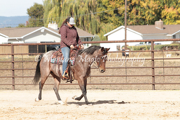 Bay Mare_2695