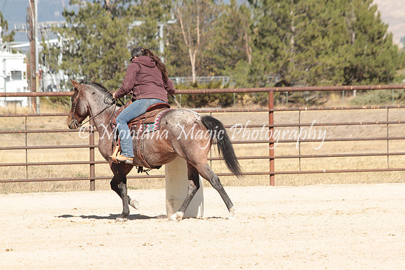 Bay Mare_3026
