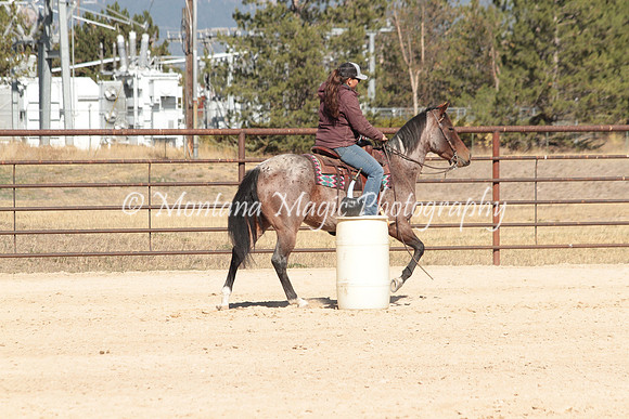 Bay Mare_3031