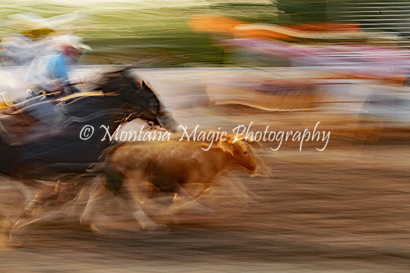 Carnivals and Fairs