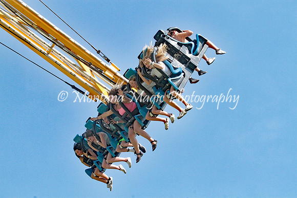 Carnivals and Fairs