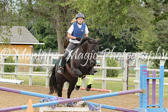 Air Horse One_9611