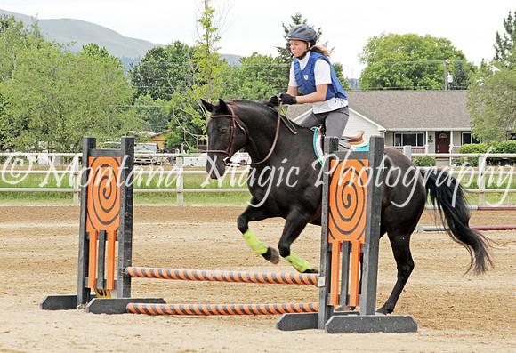 Air Horse One_9693