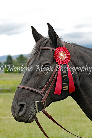 Air Horse One_9943
