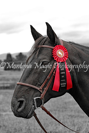 Air Horse One_9943-A