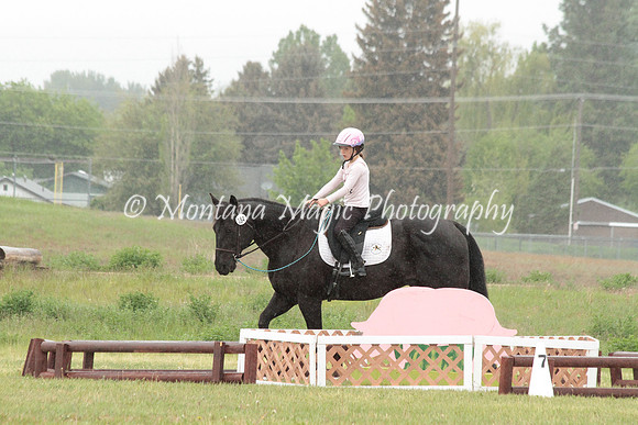 Air Horse One_2955