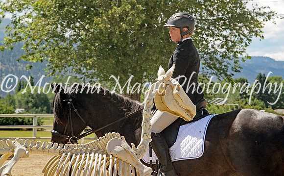 Brin_1513
