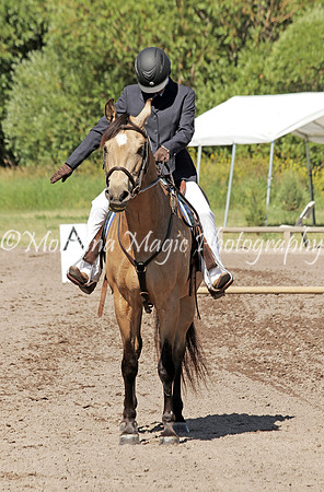 Brumbysrun Tech Warrior_0819
