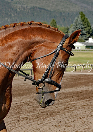 Damona Hill_0689