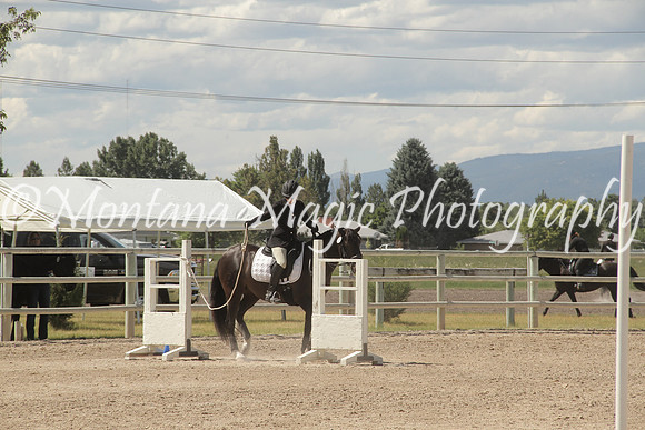 Fiona_1582