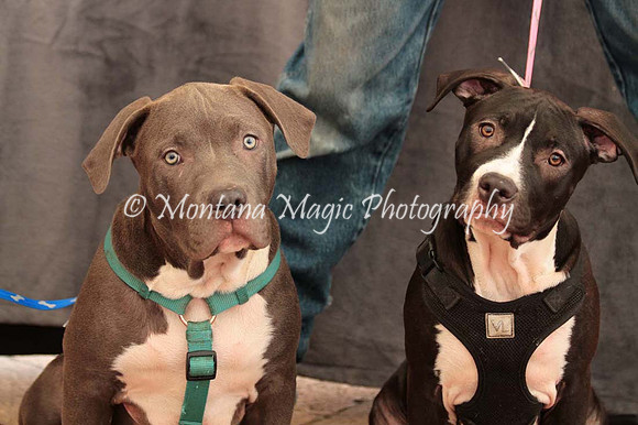 Ezekial & Diamond_0356