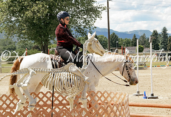 Royal Silverstep_1449
