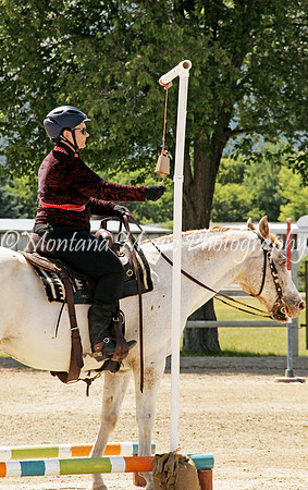 Royal Silverstep_1456