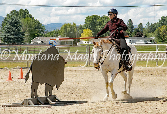 Royal Silverstep_1460