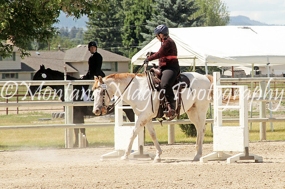 Royal Silverstep_1466