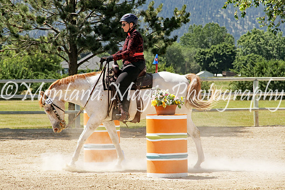 Royal Silverstep_1473