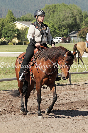 Shelby_0773