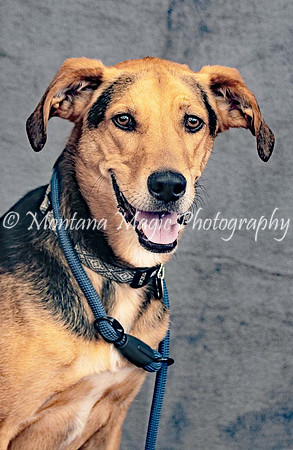 Petey_0525