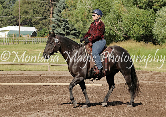 Air horse One_1988