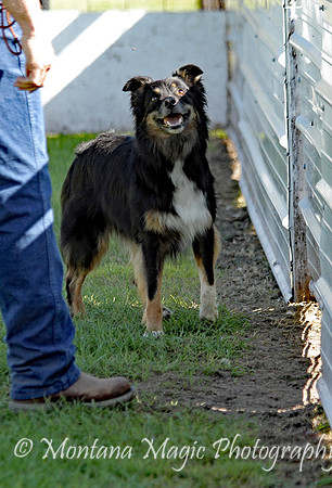 Moss_2382