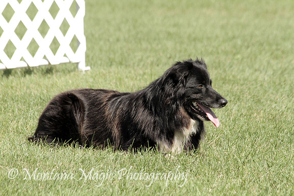 Pepper_2437