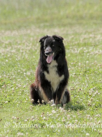 Pepper_2544