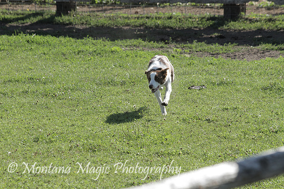 Chip_3200