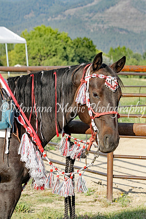 Snickers_5249