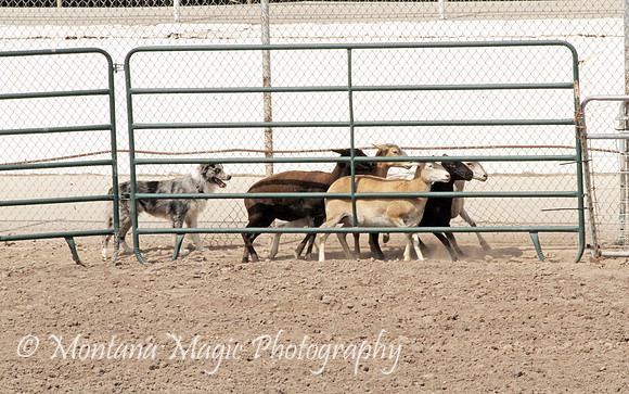 Dually_5896