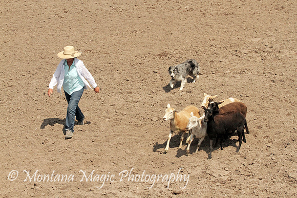 Dually_5891