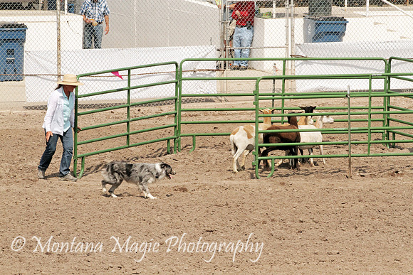 Dually_5910