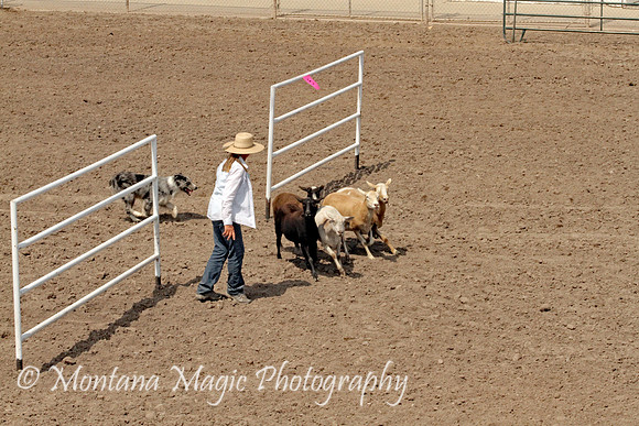 Dually_5915