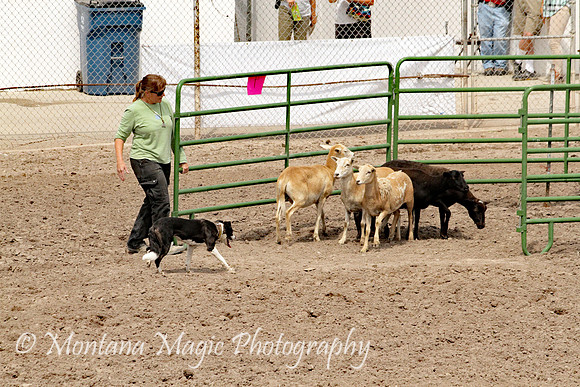 Josie_6017