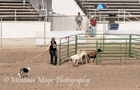 Sue_5944