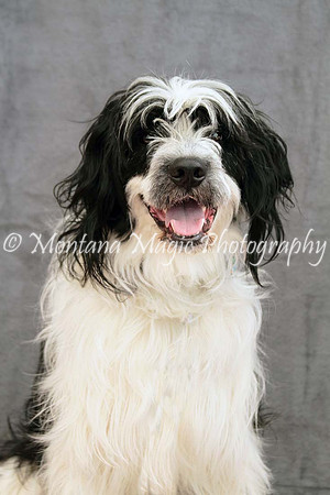 Tucker_0430