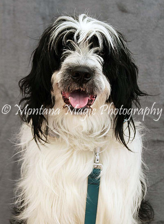 Tucker_0437